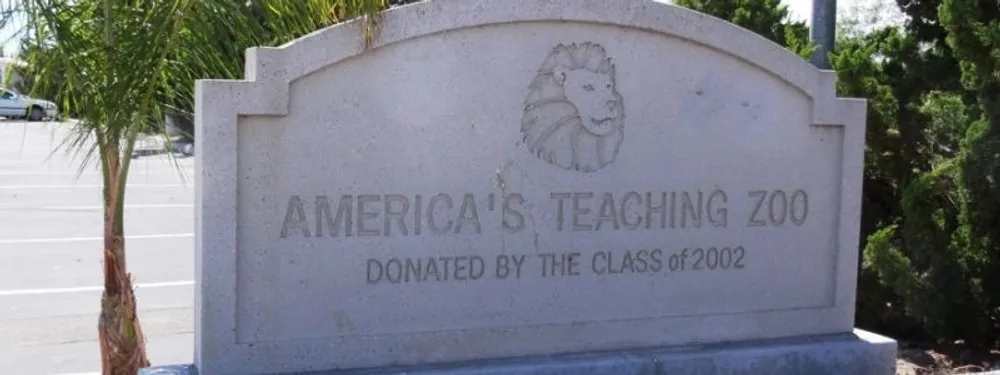 Educating Through Care: