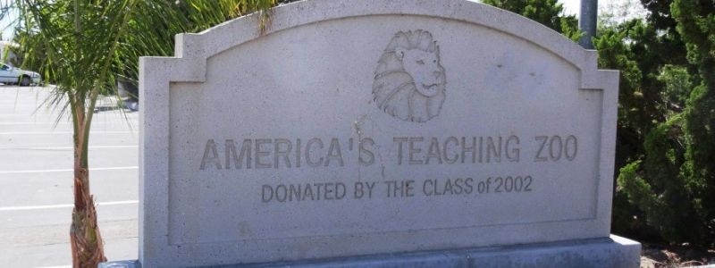 Educating Through Care: