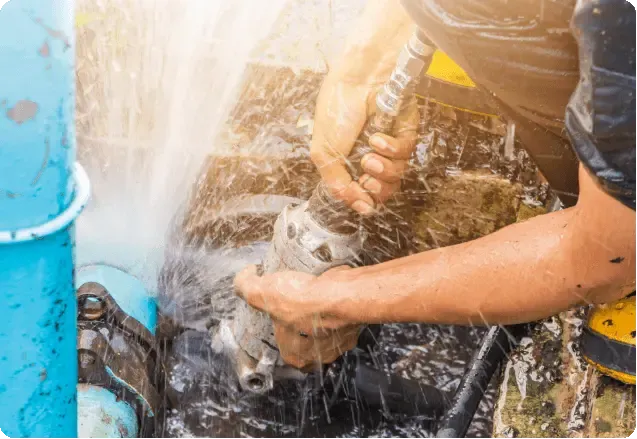 Preventive Damage Management