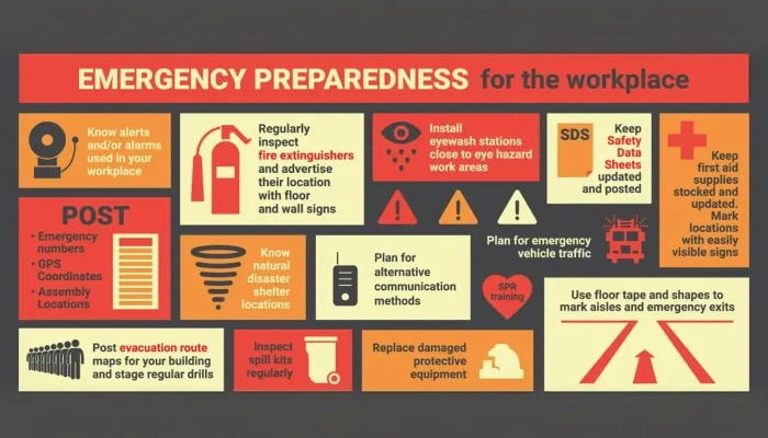 Image for From Risk to Resilience