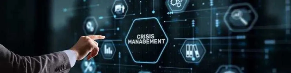 Emergency Info Sharing Strategies for Fast Crisis Response Emergency Info Sharing Strategies for Fast Crisis Response